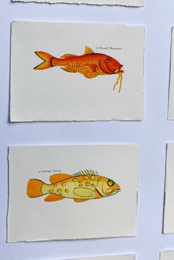 Fish Print Using Ink Inkjet Printing on Watercolor Paper at Home: An Easy Step by Step Guide ...