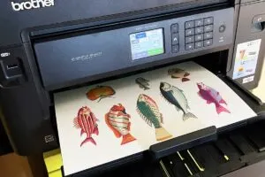 Printing vintage fish on inkjet printer