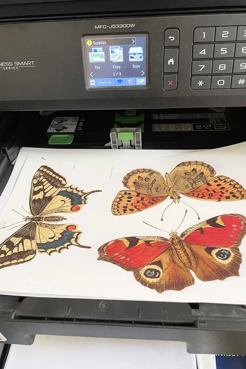 Printing the butterflies onto shrink plastic