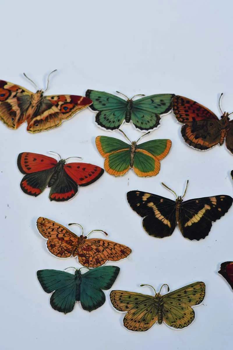 Shrinky dink butterflies for speciemen wall art