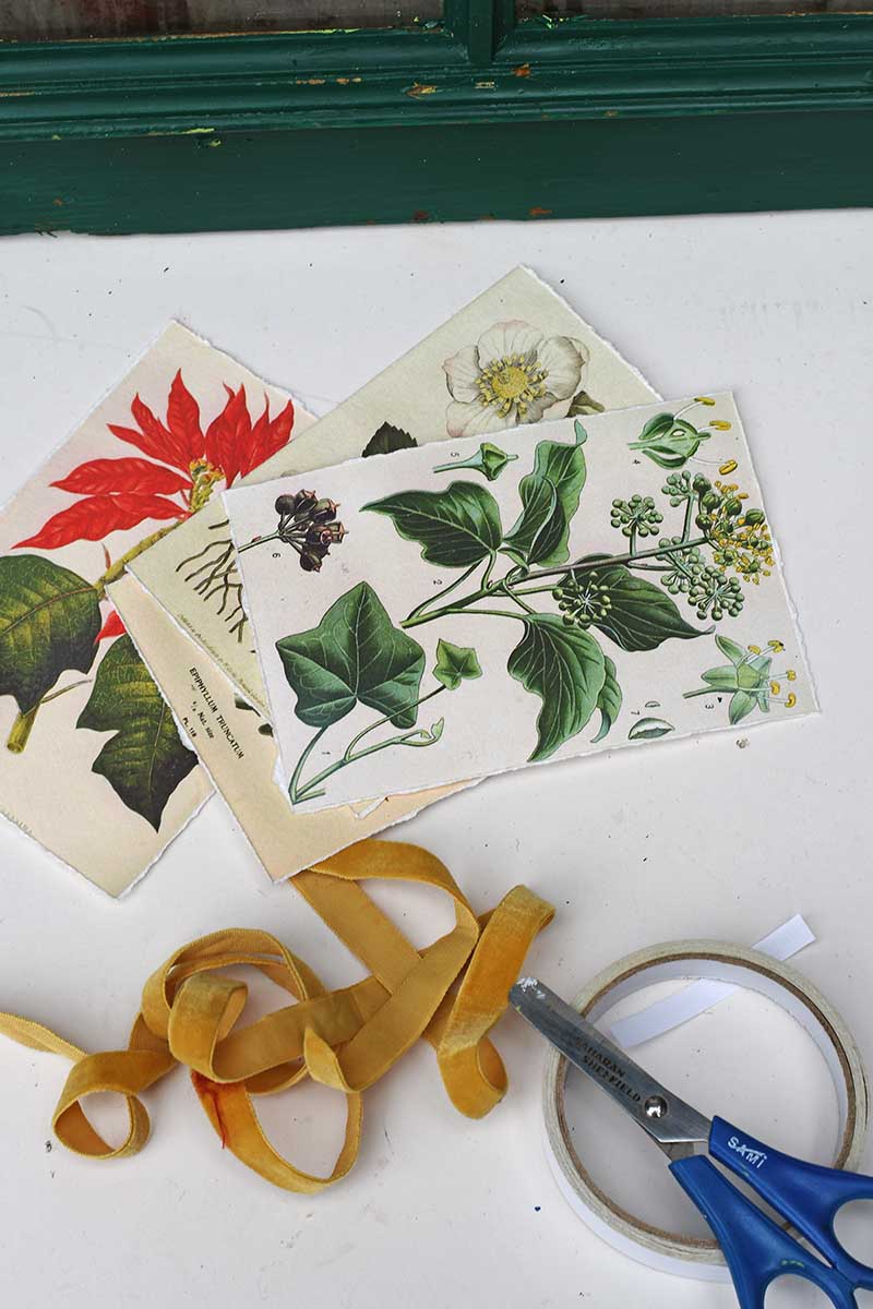 Mounting the Christmas botanical prints onto the Christmas picture frame