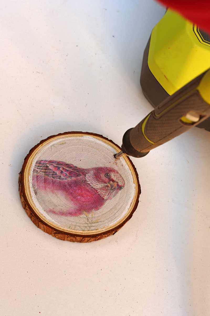 Drilling holes into wood slices.