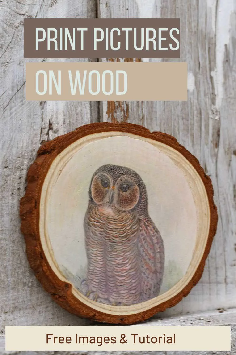 Owl printed on wood pin