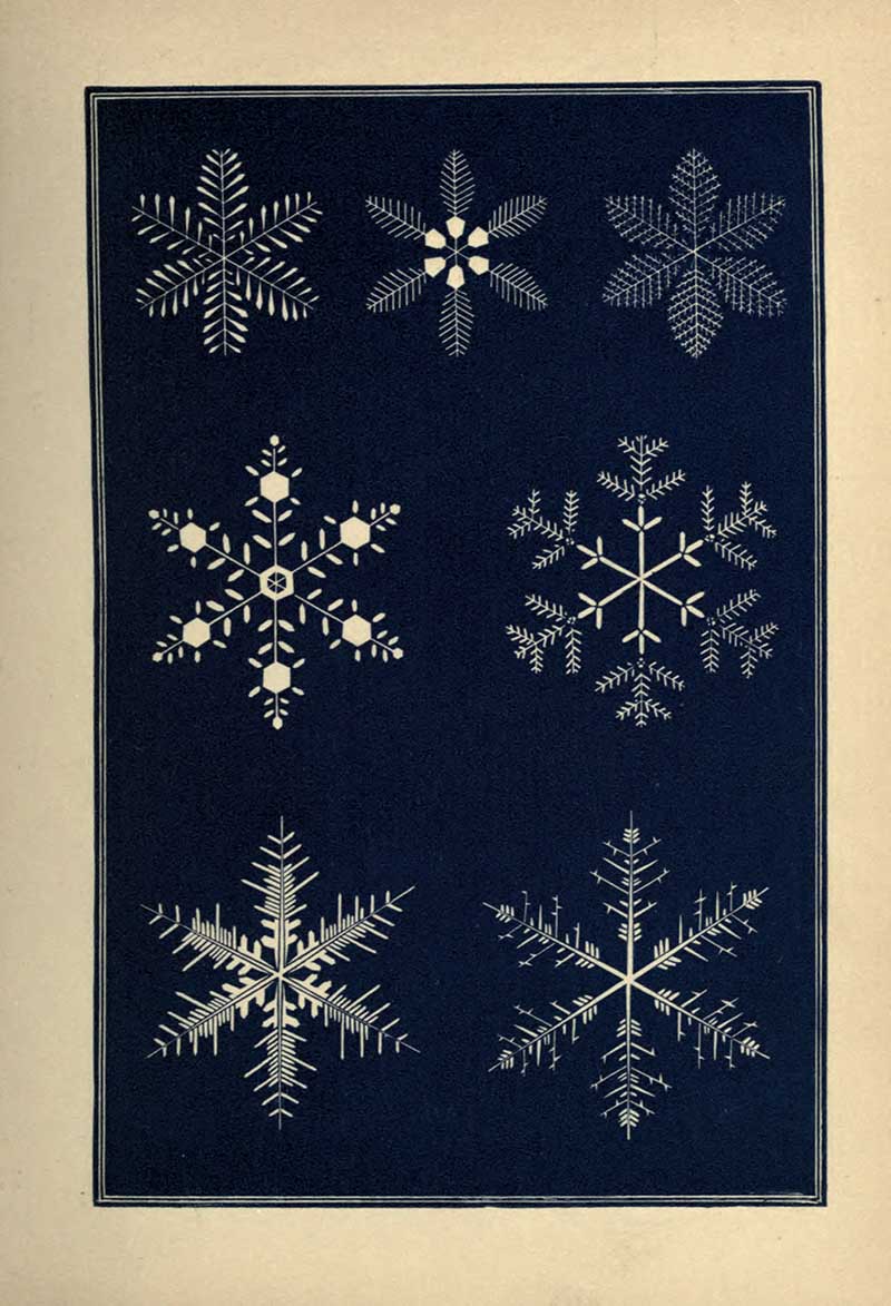 Chapter 11 Beneficence vintage Snowflake print