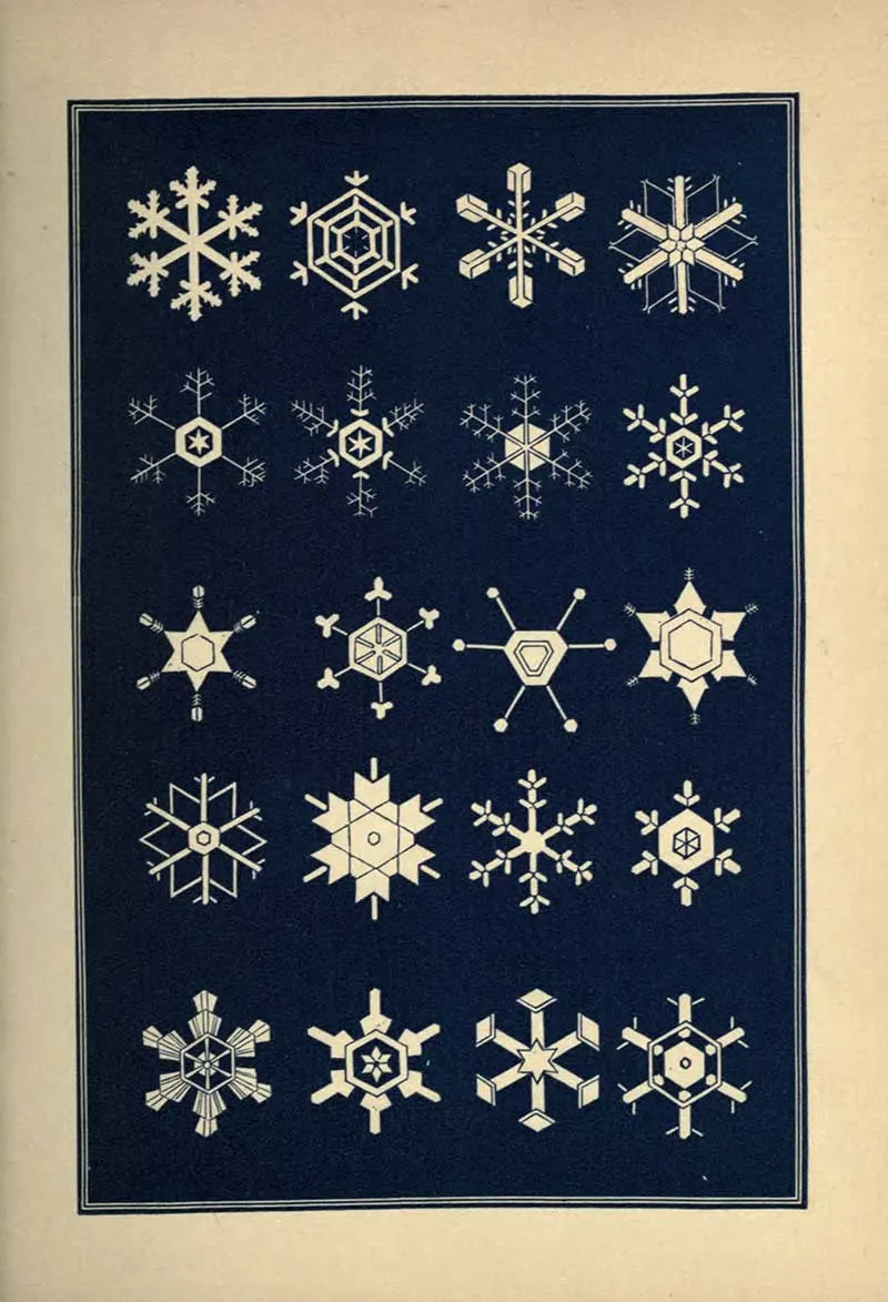 Beauty snowflakes prints