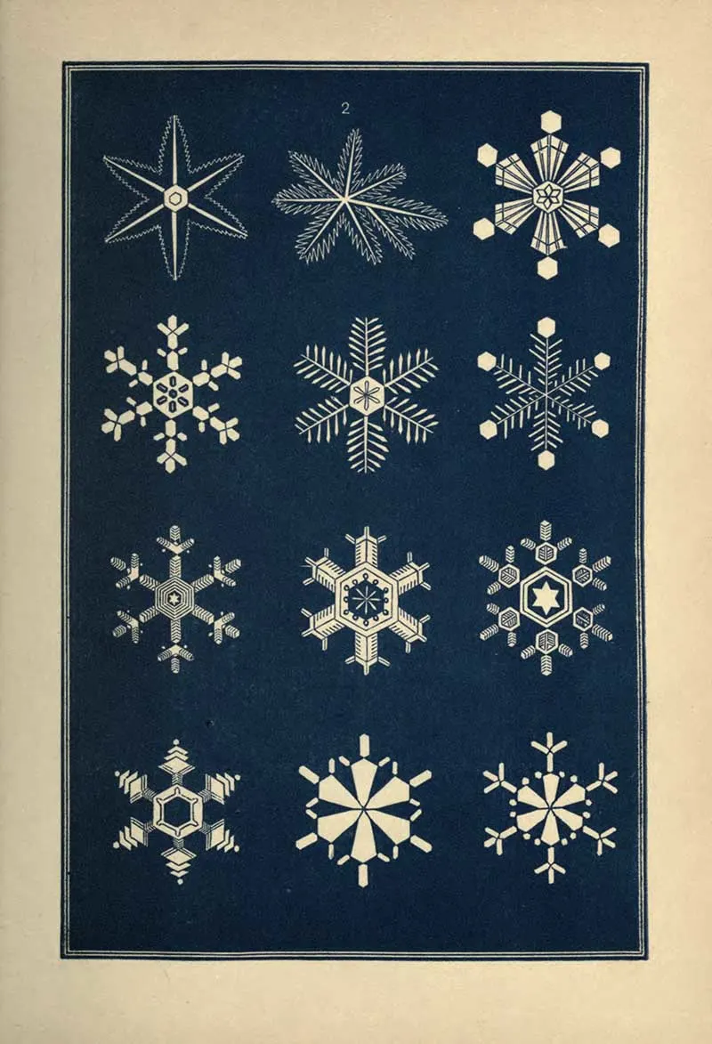 Gladness vintage snowflake print drawings