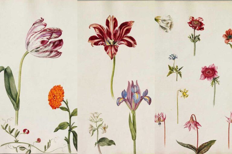 alexander-Marshal-Florilegium