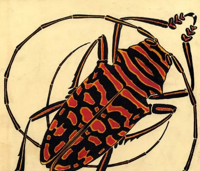 E.A. Art Nouveau Insect prints