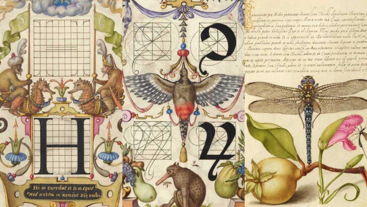 Old calligraphy illustration prints Joefnagel feature image