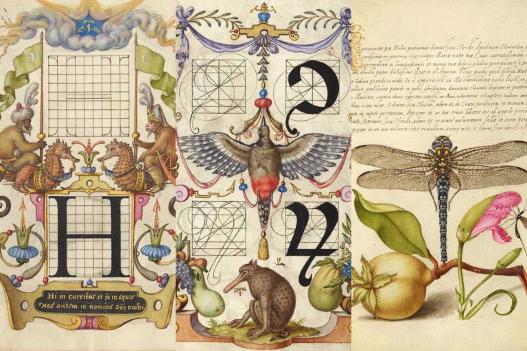 Old calligraphy illustration prints Joefnagel feature image