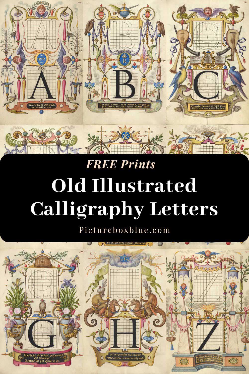 Old illustrated calligraphy letters PIN Joris Hoefnagel