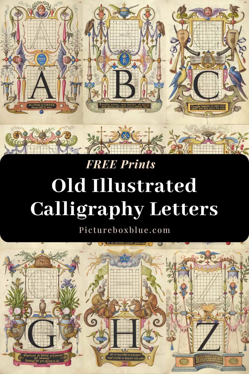 Old illustrated calligraphy letters PIN Joris Hoefnagel