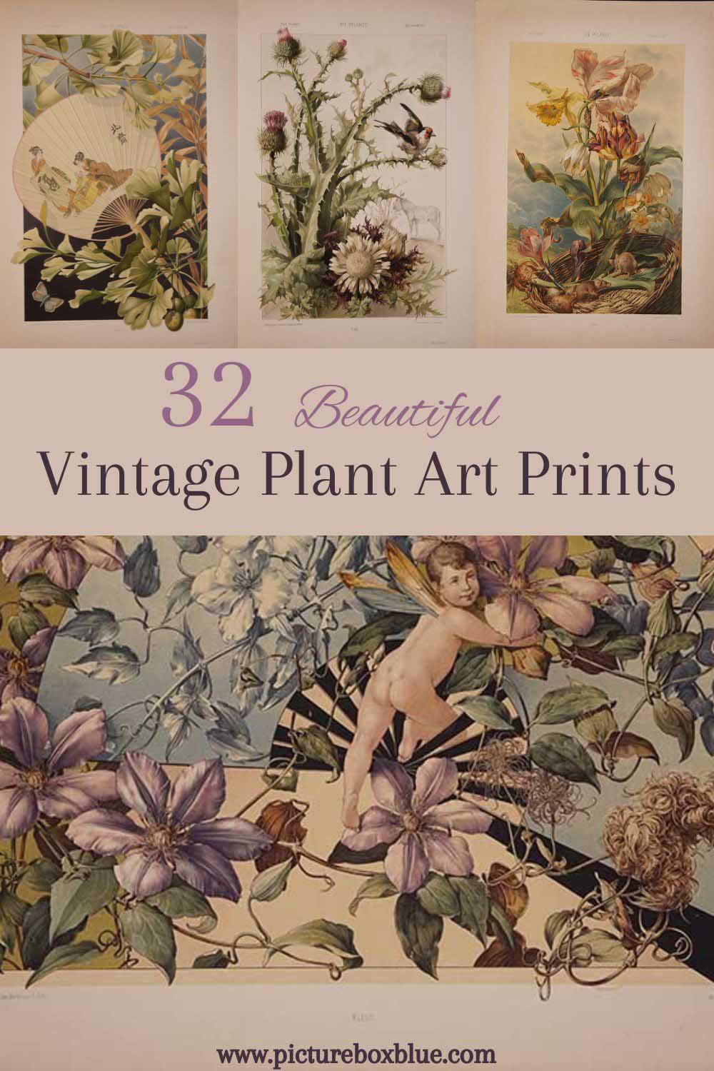 Vintage plant art prints volume one