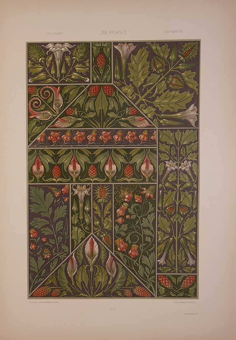 Daruta-Arum-lily-blessed thistles- ornamental motives