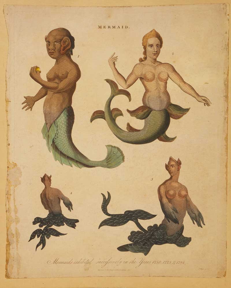 John Pass 1817 mermaids