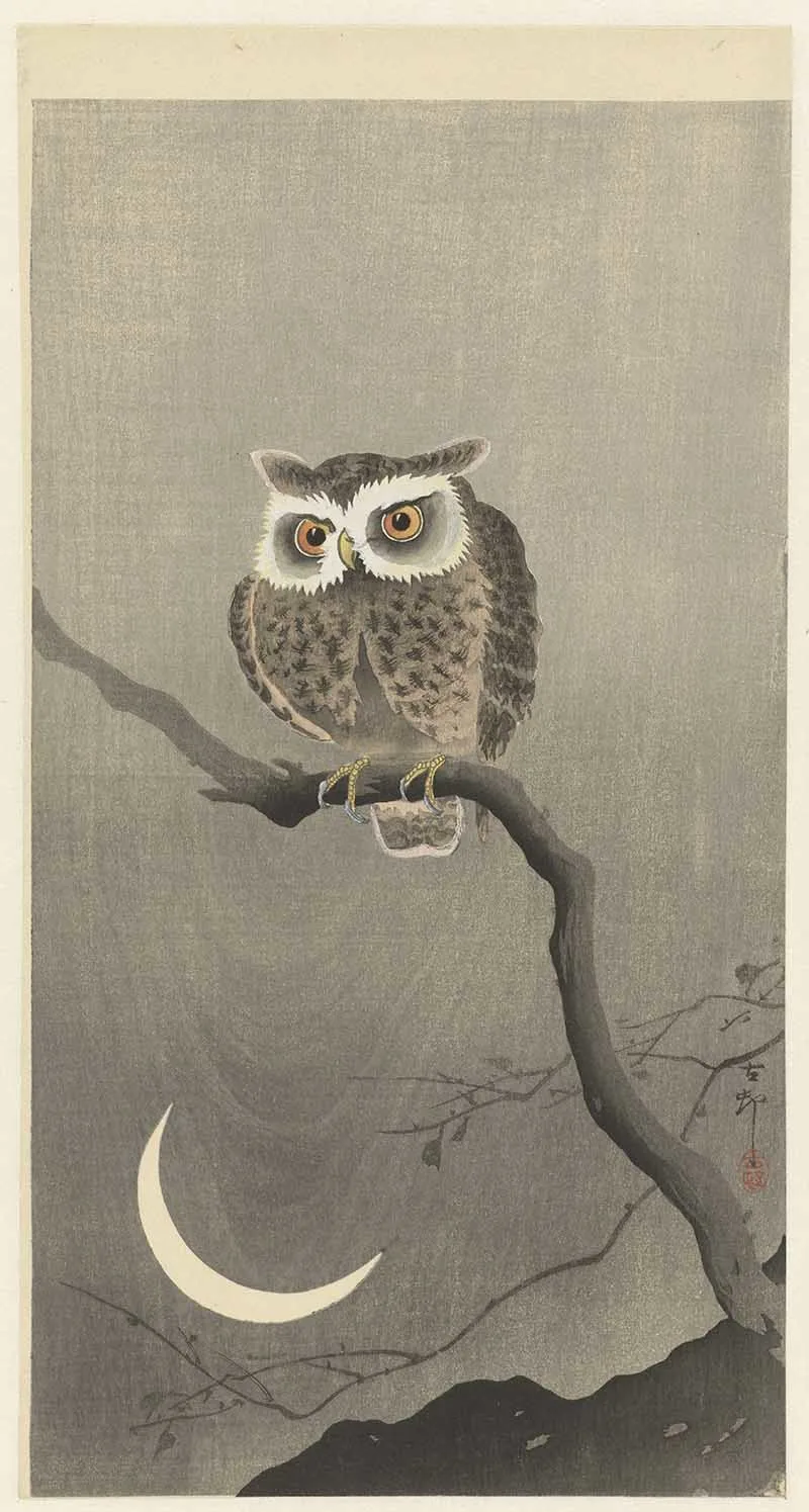 Ohara Koson Birds barn Owl