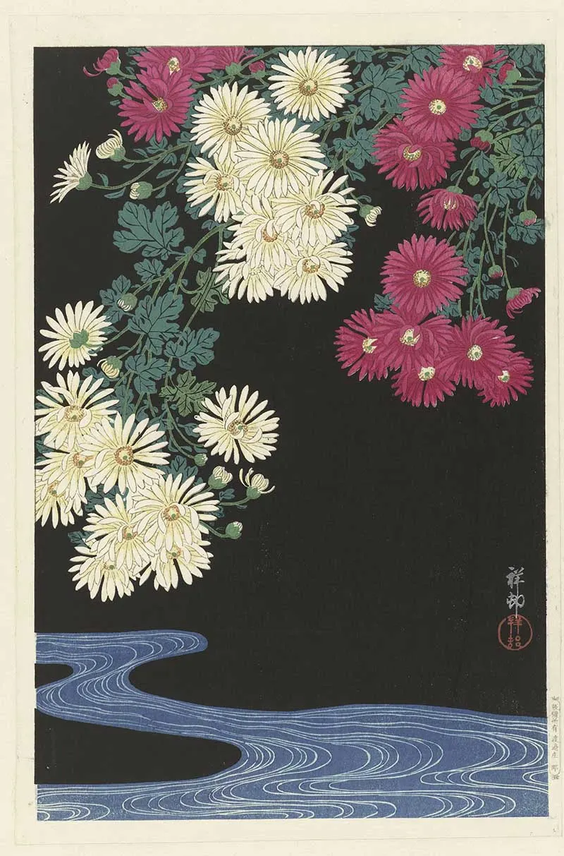 Chrysanthemums on water by Ohara Koson