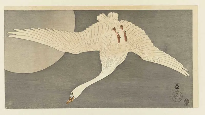 Japanese Bird painting goose full moon