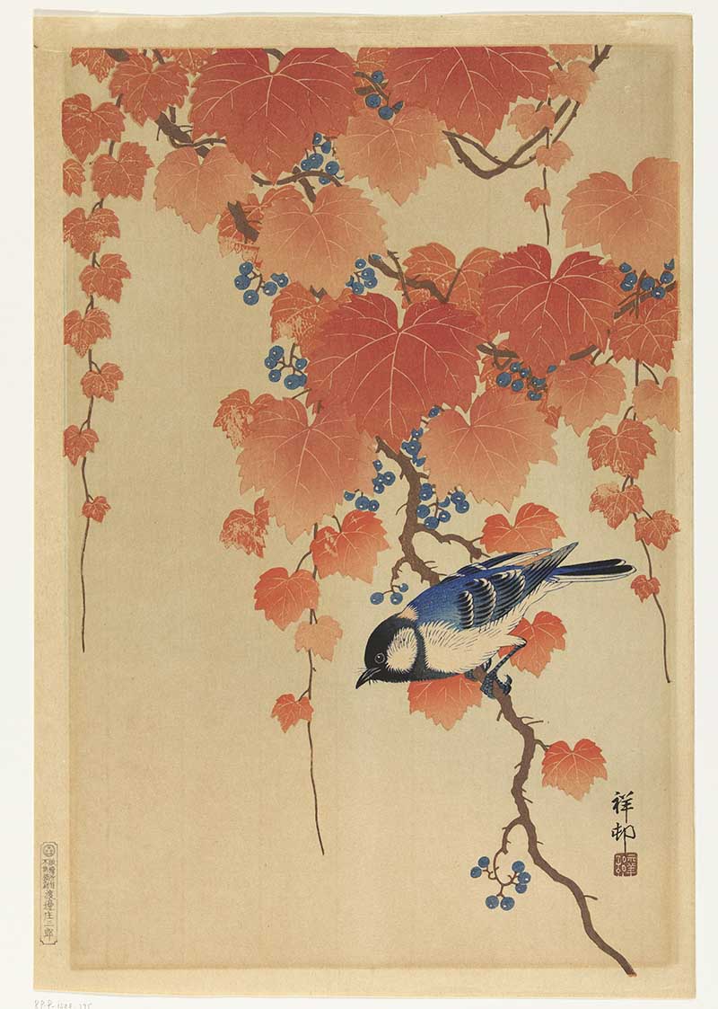 Vintage Japanese painting of a great tit in a paulownia tree