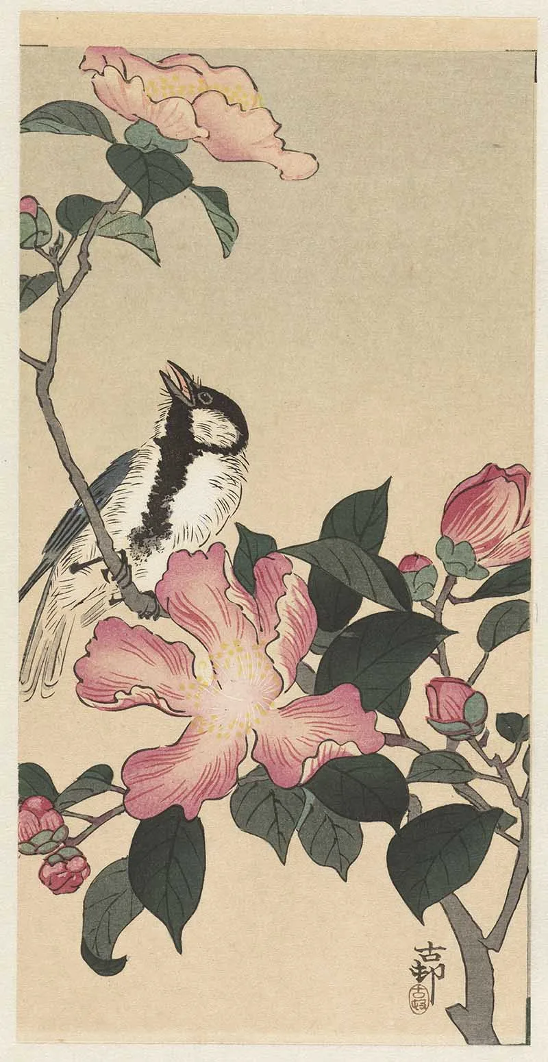 Ohara Koson painting of a great tit in pink flowers