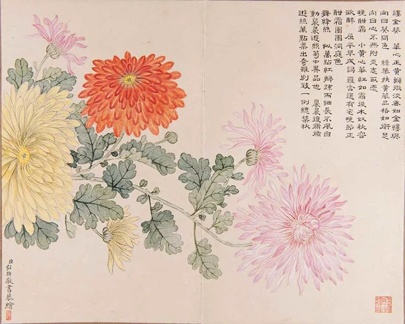 Chinese chrysanthemum art