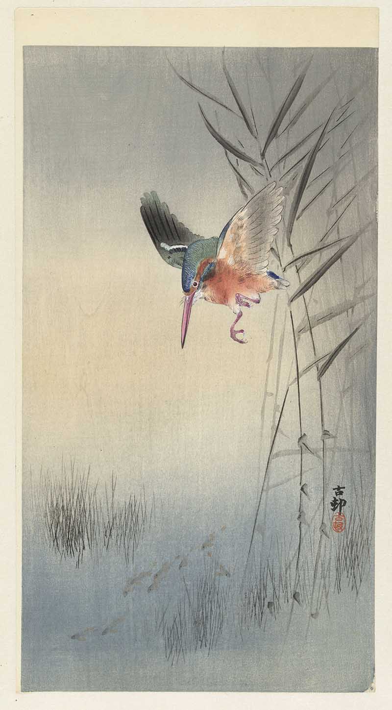 Vintage Japanese painting of kingfisher hunting fish