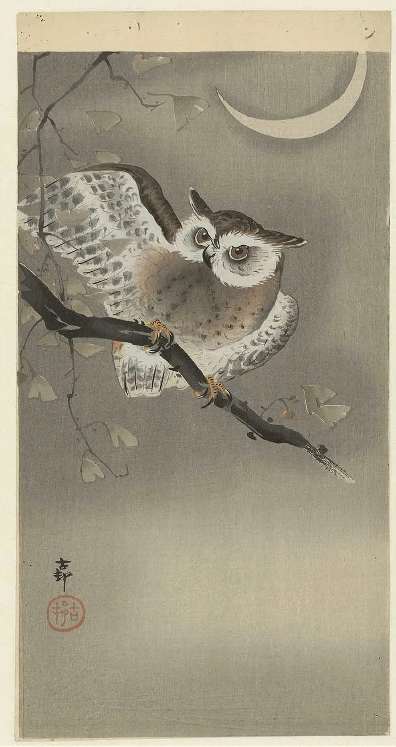 Owl in ginko tree Ohara Koson