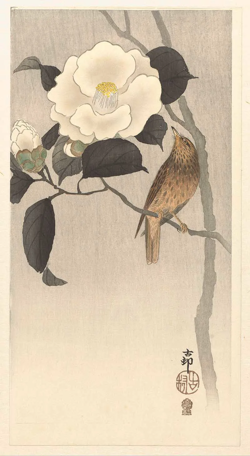 Songbird and blooming camellia