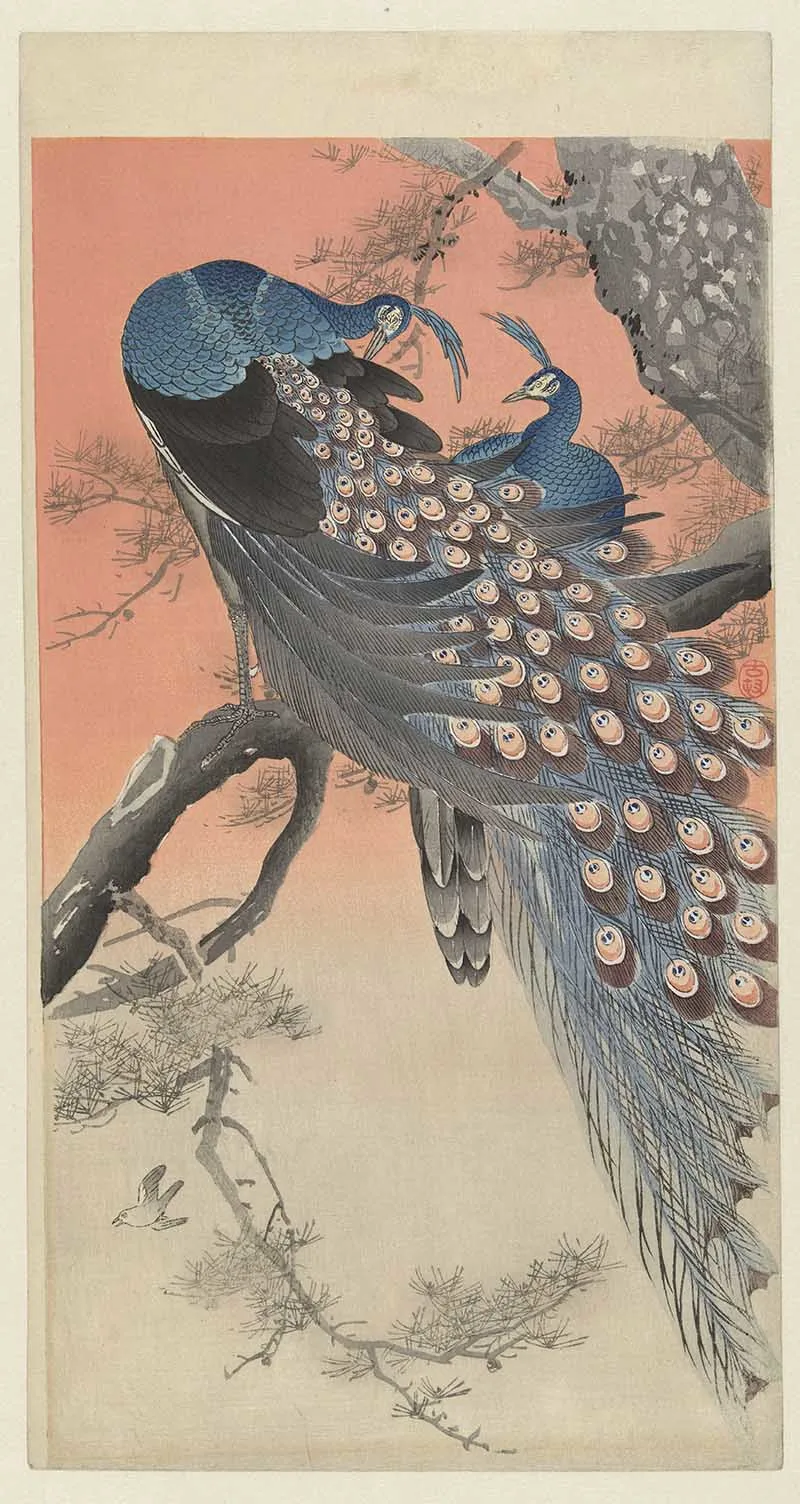 Two peacocks in tree vintage Japanese bird painting