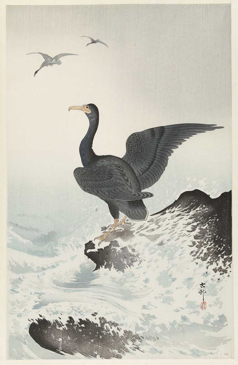 Vintage Japanese paintings of cormorant