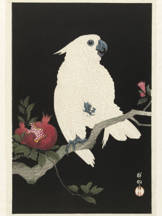 Feathered Elegance: The Bird Paintings of Ohara Koson