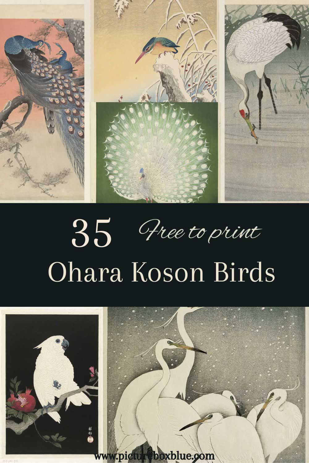 Ohara Koson birds pins