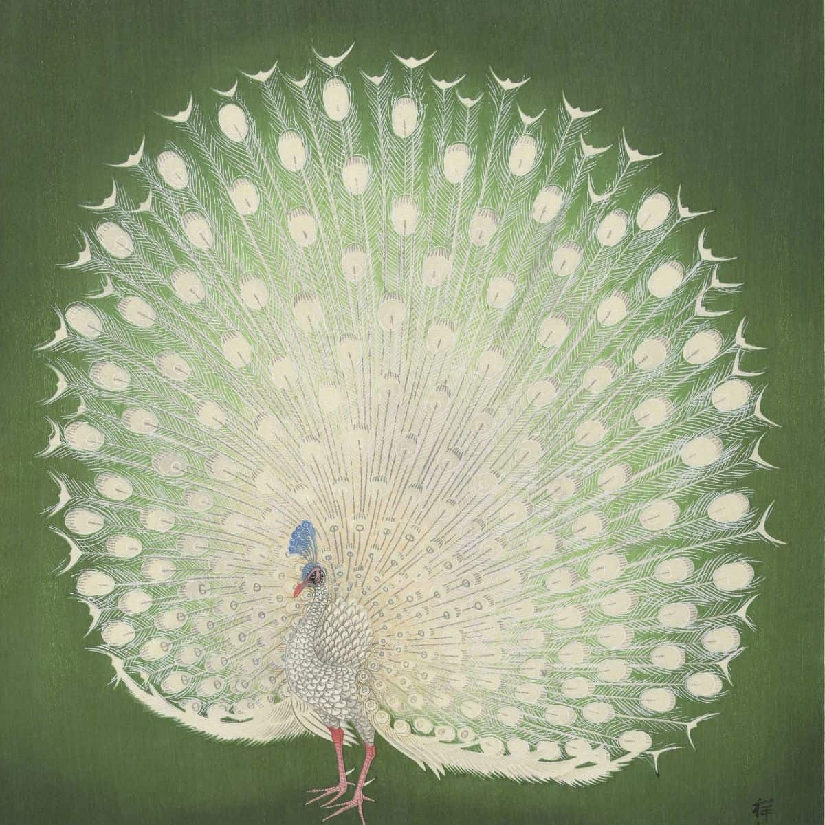 Ohara Koson Peacock painting feature image