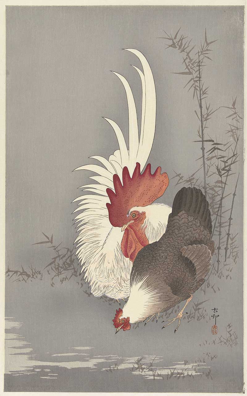 Ohara Koson birds rooster and chickent