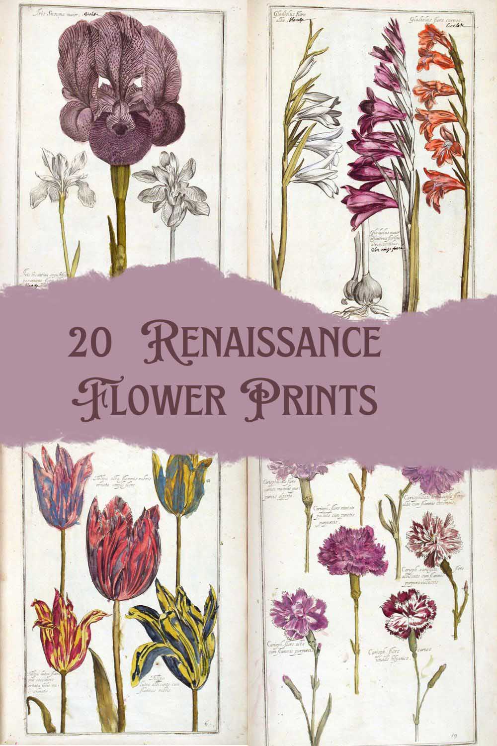 Renaissance Flowers from the Theatrum Floae pin
