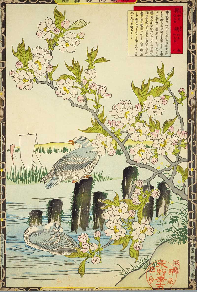 Kono Bairei Painting Cherry Blossom and Gulls