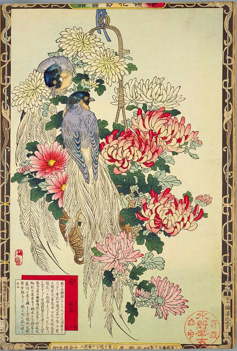 Vintage Japanese painting of exotic birds and Chrysanthemums