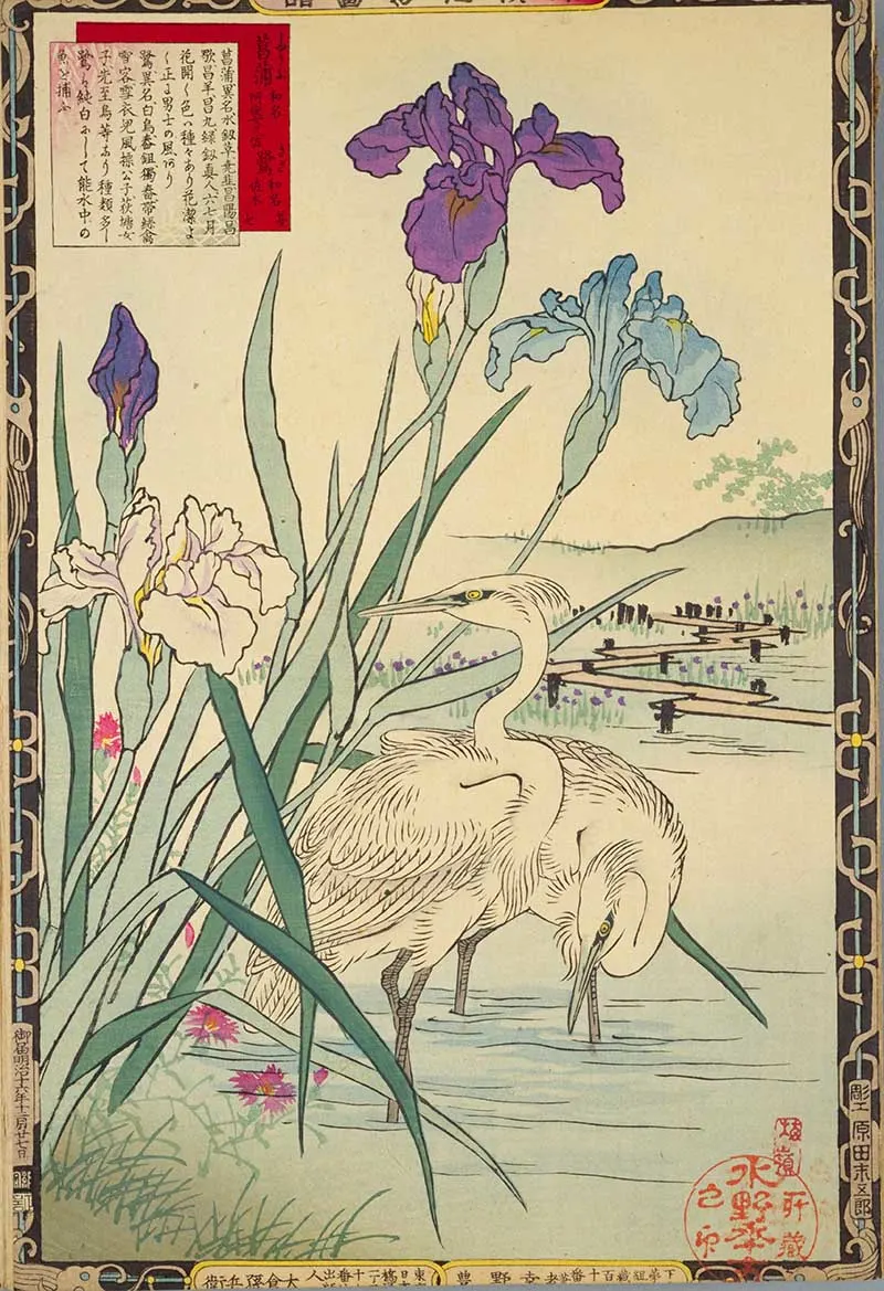 Heron and Irises Japanese Birds and Flower Painting
