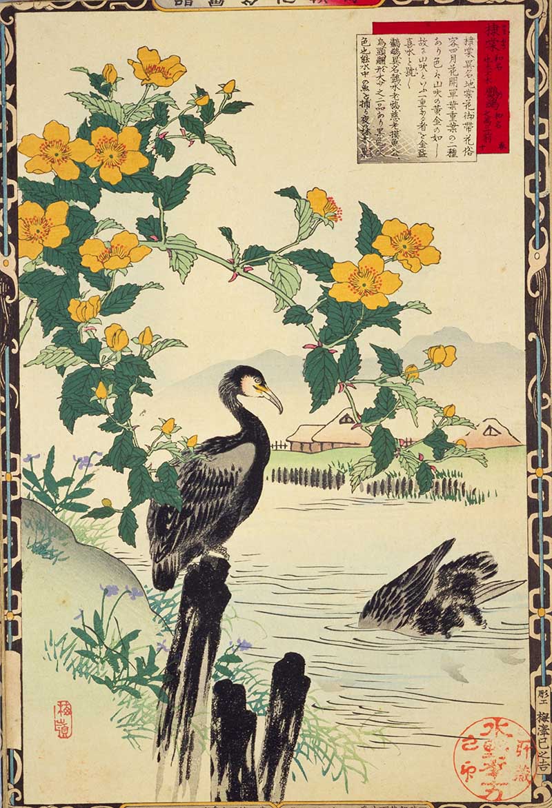 Vintage Japanese art of birds and flowers Commoants Kono Bairei