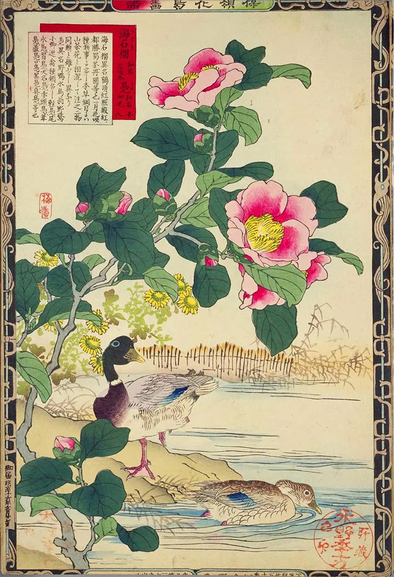 Japanese painting ducks and magnolia
