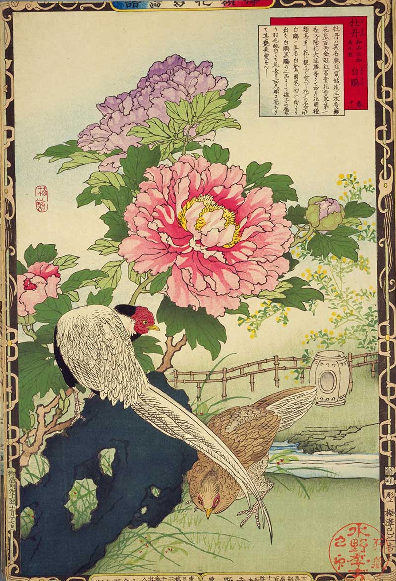 Kono Bairei Print Peonies and Silver Pheasants