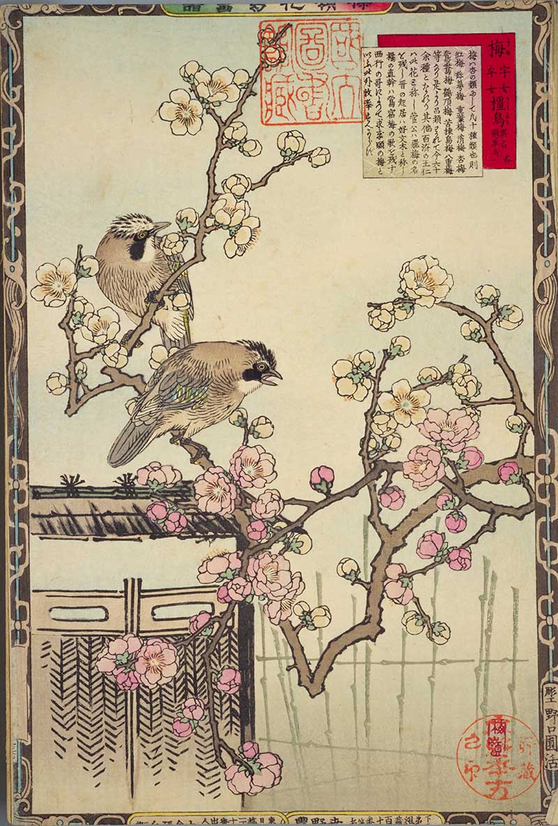 Kono Bairei Plum Blossoms and Jays