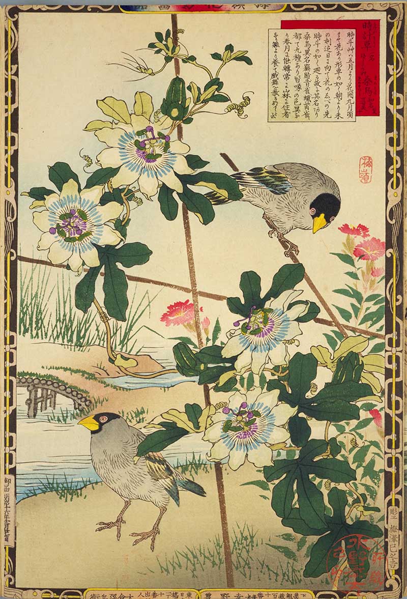 Vintage Japanese painting of small birds and passion flowers