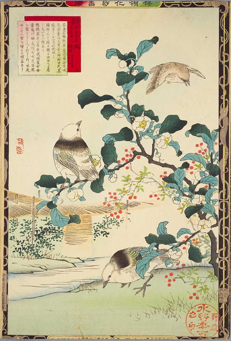 Songbirds and Blossom Kon Bairei Japanese Art