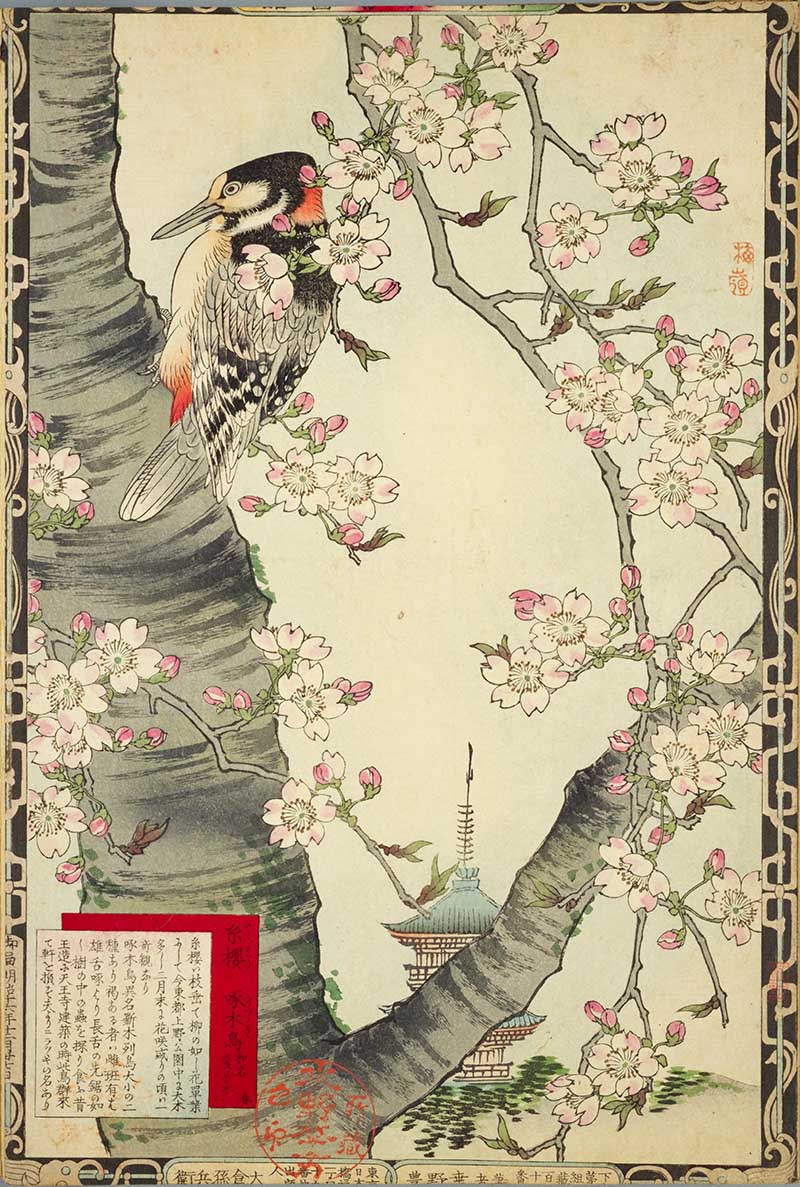 Woodpecker in a Cherry Tree Vintage Japanese Art