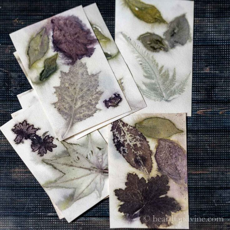 eco-printing botancial crafts
