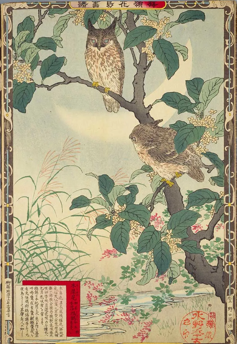 Japanese painting of Owl in tree