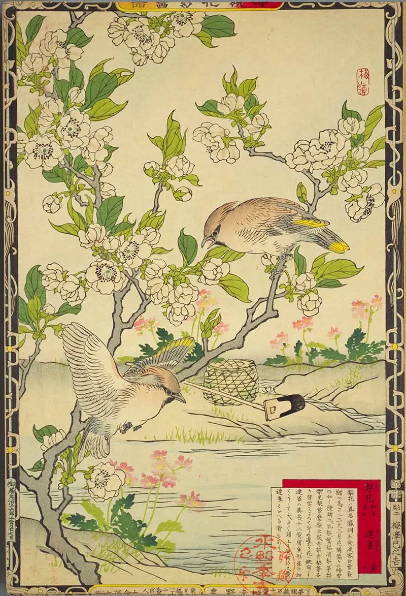 Pear Blossom and Bohemian Waxwings