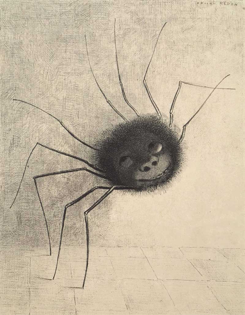 Japanese Spider drawing