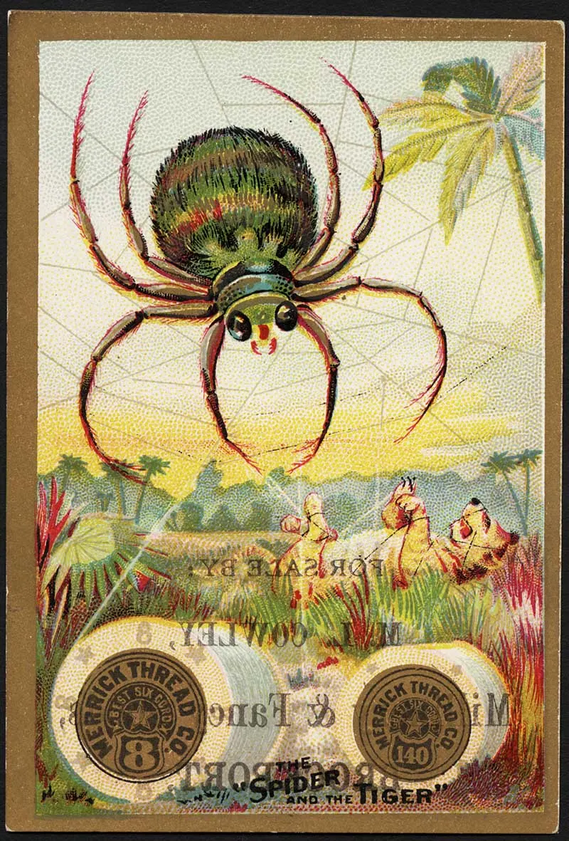 Spider and tiger thread trading card